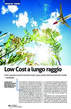 Low Cost a lungo raggio - Aura Marcelli LLa rivoluzione &egrave; cominciata ormai da ol- Master Meeting