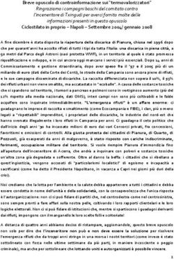 Breve opuscolo di controinformazione sui "termovalorizzatori"