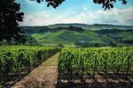 Food & Wine Valley PIEMONTE - ITALIA - Parco Culturale Langhe Monferrato Roero