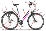 BICICLETTA EPAC - BICICLETTA A PEDALATA ASSISTITA - MANUALE D'USO E MANUTENZIONE Modello OMEGA - Argento Bike