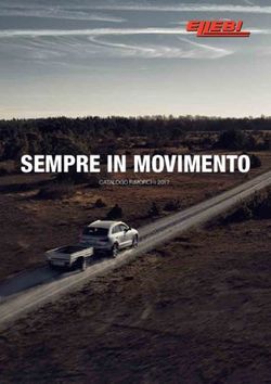 SEMPRE IN MOVIMENTO CATALOGO RIMORCHI 2017 - Verauto