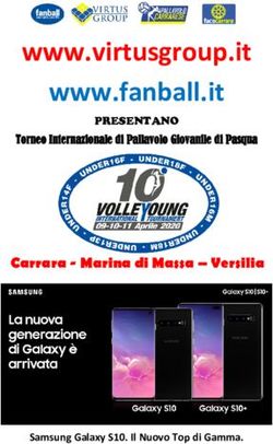 www.virtusgroup.it www.fanball.it - Carrara - Marina di Massa - Versilia - PRESENTANO