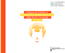 Indagine sul Pubblico e Valutazione di Impatto Economico dello Storico Carnevale di Ivrea 2014