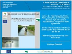 Giuliano Gandolfi idraulico degli Interventi di riqualiflcazione e di gestione della vegetazione