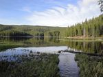 Independence Day a San Francisco e Yellowstone in Camper - Viaggio Ergo Sum e Mente Nomade