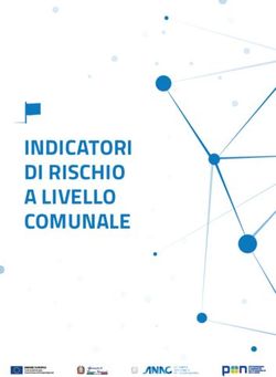 INDICATORI DI RISCHIO A LIVELLO COMUNALE