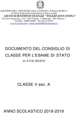 DOCUMENTO DEL CONSIGLIO DI CLASSE PER L'ESAME DI STATO - Tullio Levi Civita