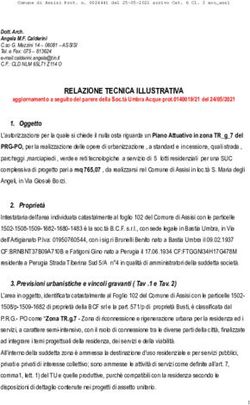 RELAZIONE TECNICA ILLUSTRATIVA - Comune di Assisi