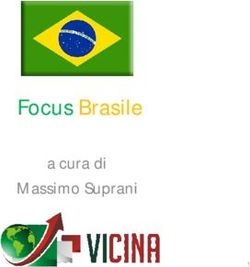 Focus Brasile a cura di Massimo Suprani - ODCEC Roma