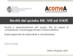 Novità del quadro RW, IVIE ed IVAFE - Novità e approfondimenti del quadro RW tra regole di compilazione, monitoraggio fiscale e titolare ...