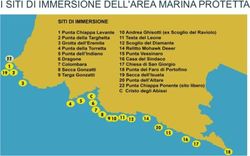 I SITI DI IMMERSIONE DELL'AREA MARINA PROTETTA