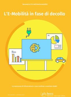 L'E-Mobilit&agrave; in fase di decollo - L'E-Mobilit&agrave; in fase di decollo - GFS Bern