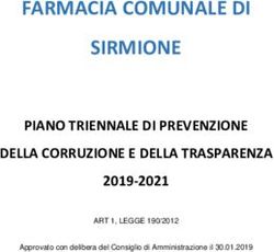 FARMACIA COMUNALE DI SIRMIONE - PIANO TRIENNALE DI PREVENZIONE DELLA CORRUZIONE E DELLA TRASPARENZA 2019-2021