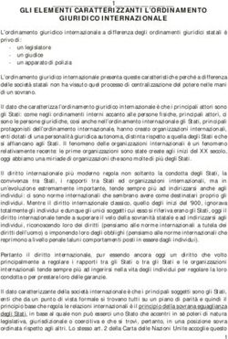 GLI ELEMENTI CARATTERIZZANTI L'ORDINAMENTO GIURIDICO INTERNAZIONALE