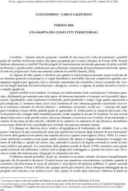 LUIGI BOBBIO - CARLO LAZZERONI TORINO 2006 UNA MAPPA DEI CONFLITTI TERRITORIALI