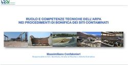 RUOLO E COMPETENZE TECNICHE DELL'ARPA NEI PROCEDIMENTI DI BONIFICA DEI SITI CONTAMINATI - Massimiliano Confalonieri