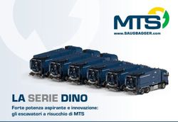 LA SERIE DINO Forte potenza aspirante e innovazione: gli escavatori a risucchio di MTS - MTS-Saugbagger