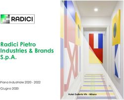 RADICI PIETRO INDUSTRIES & BRANDS S.P.A - PIANO INDUSTRIALE 2020 - 2022 GIUGNO 2020 - RADICI PIETRO INDUSTRIES & BRANDS SPA