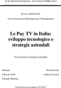 Le Pay TV in Italia: sviluppo tecnologico e strategie aziendali