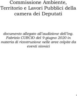 Commissione Ambiente, Territorio e Lavori Pubblici della camera dei Deputati - documento allegato all'audizione dell'ing. Fabrizio CURCIO del 9 ...