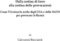 Dalla cortina di ferro alla cortina delle provocazioni Come l'Ucraina fu scelta dagli USA e dalla NATO per provocare la Russia