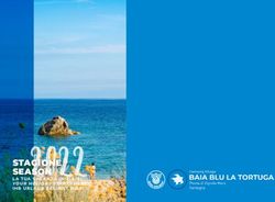 STAGIONE SEASON BAIA BLU LA TORTUGA - IT