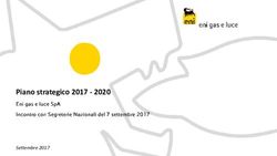 Piano strategico 2017 2020 - Settembre 2017 - femca cisl