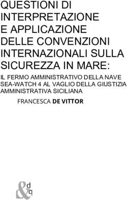 QUESTIONI DI INTERPRETAZIONE E APPLICAZIONE DELLE CONVENZIONI INTERNAZIONALI SULLA SICUREZZA IN MARE: IL FERMO AMMINISTRATIVO DELLA NAVE ...