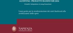 AUDITING PROGETTI BANDO SIR 2014 - Linee guida per la rendicontazione dei costi finalizzati alla certificazione delle spese - Sapienza