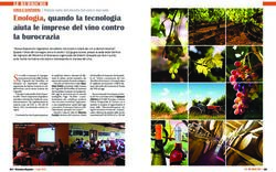 Enologia, quando la tecnologia aiuta le imprese del vino contro la burocrazia