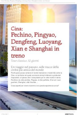 Pechino, Pingyao, Dengfeng, Luoyang, Xian e Shanghai in treno