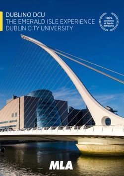DUBLINO DCU THE EMERALD ISLE EXPERIENCE DUBLIN CITY UNIVERSITY - MLA