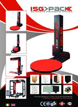 ISG PACK - avvolgipallet con film estensibile stretch wrapping machines - Automatic packaging system - Imballaggi Service