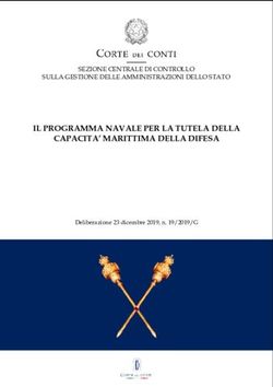 IL PROGRAMMA NAVALE PER LA TUTELA DELLA CAPACITA' MARITTIMA DELLA DIFESA - SEZIONE CENTRALE DI CONTROLLO SULLA GESTIONE DELLE AMMINISTRAZIONI ...