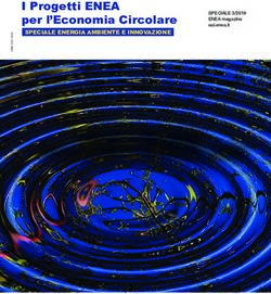 I Progetti ENEA per l'Economia Circolare - SPECIALE ENERGIA AMBIENTE E INNOVAZIONE - ENEA EAI