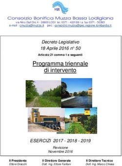 Programma triennale di intervento - Decreto Legislativo 18 Aprile 2016 n 50 - Consorzio Bonifica Muzza ...