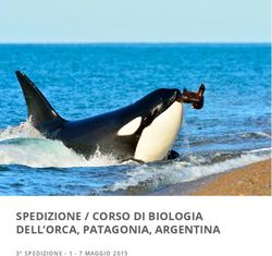 SPEDIZIONE / CORSO DI BIOLOGIA DELL'ORCA, PATAGONIA, ARGENTINA - 3 SPEDIZIONE 1 - 7 MAGGIO 2015