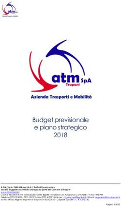 Budget previsionale e piano strategico 2018 - Natale ...