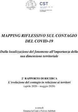 MAPPING RIFLESSIVO SUL CONTAGIO DEL COVID-19 - UniBg