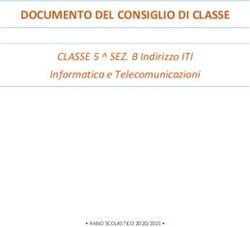 DOCUMENTO DEL CONSIGLIO DI CLASSE - CLASSE 5 SEZ. B Indirizzo ITI Informatica e Telecomunicazioni - Istituto Silvio D'Arzo