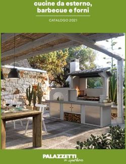 Cucine da esterno, barbecue e forni - CATALOGO 2021 - Palazzetti