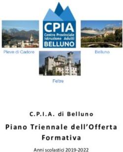 Piano Triennale dell'Offerta - C.P.I.A. di Belluno Anni scolastici 2019-2022 - CPIA BL