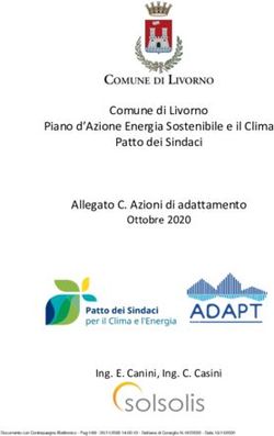 Comune di Livorno Piano d'Azione Energia Sostenibile e il Clima