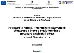 Facilitare la ripresa. Programmi e interventi di attuazione a breve e medio termine e procedure ambientali attese - Valutare la sostenibilit&agrave; ...
