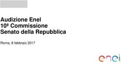 Audizione Enel 10&ordf; Commissione Senato della Repubblica - Roma, 8 febbraio 2017