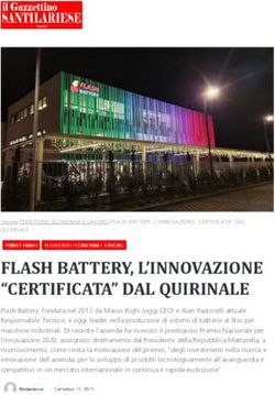 FLASH BATTERY, L'INNOVAZIONE "CERTIFICATA" DAL QUIRINALE