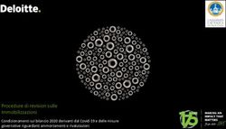 Procedure di revision sulle Immobilizzazioni - Condizionamenti sul bilancio 2020 derivanti dal Covid-19 e delle misure governative riguardanti ...