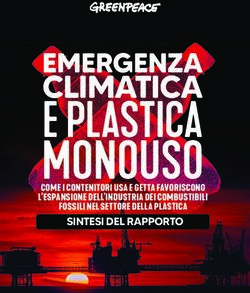 COME I CONTENITORI USA E GETTA FAVORISCONO L'ESPANSIONE DELL'INDUSTRIA DEI COMBUSTIBILI FOSSILI NEL SETTORE DELLA PLASTICA SINTESI DEL RAPPORTO ...