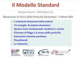 Il Modello Standard - Belle II Indico