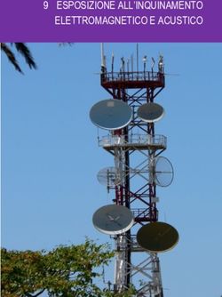 9 ESPOSIZIONE ALL'INQUINAMENTO ELETTROMAGNETICO E ACUSTICO